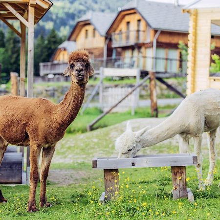Alpenchalet Alpakablick St. Lorenzen ob Murau Exterior foto